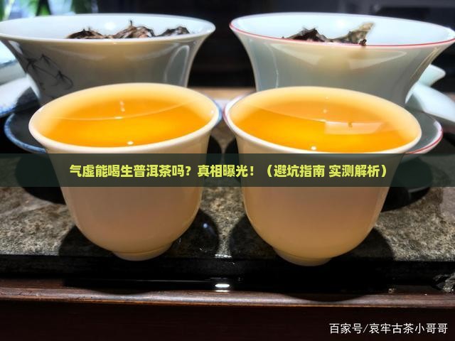 气虚能不能喝生普洱茶