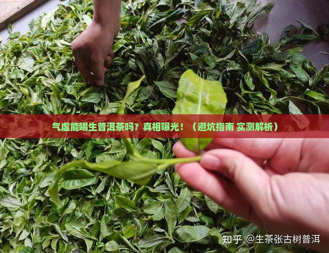 气虚能不能喝生普洱茶