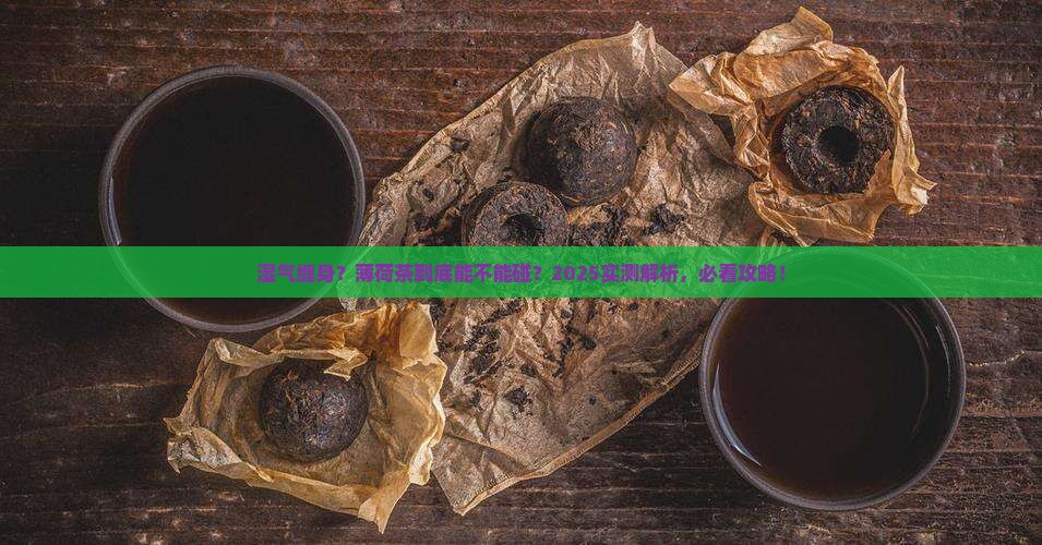 湿气重的人可以喝薄荷茶吗