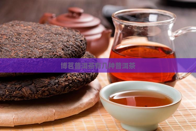 博茗普洱茶有几种