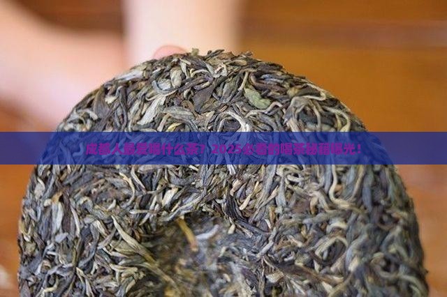 成都人喝什么茶最多