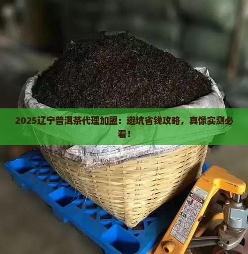 辽宁普洱茶代理加盟前景