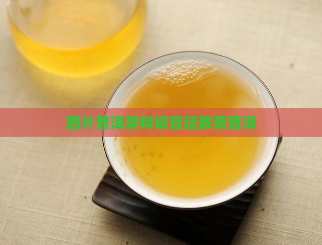 普洱茶特级宫廷散茶