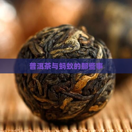 普洱茶怕蚂蚁吗