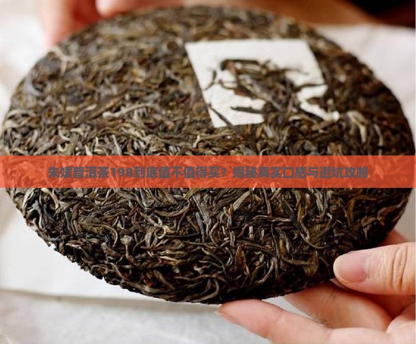 朱媛普洱茶198