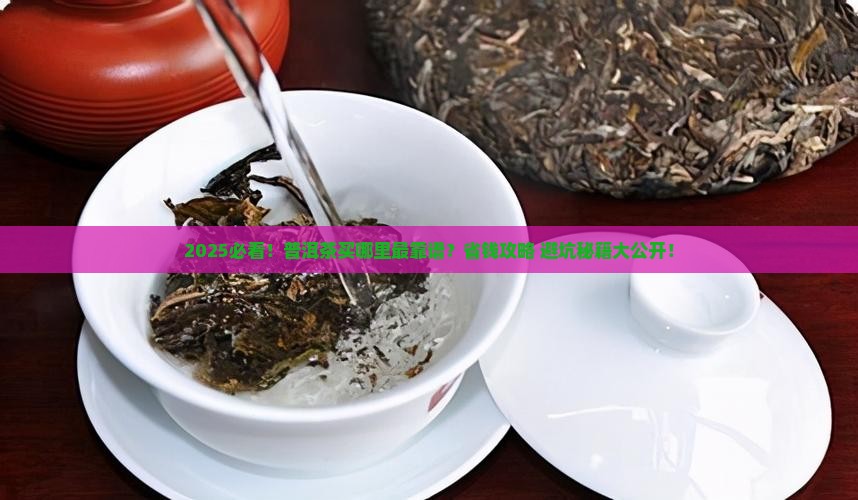 普洱茶哪个地方好买
