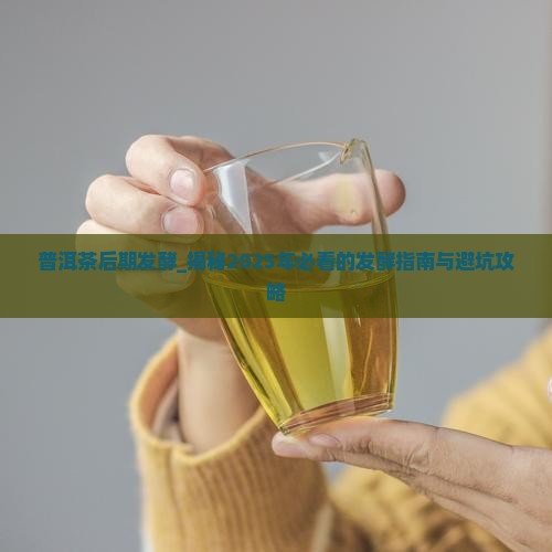 普洱茶后期发酵