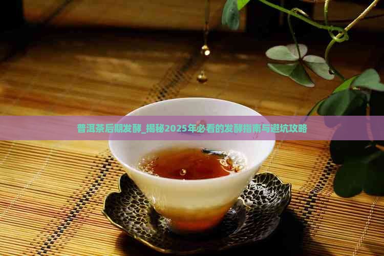 普洱茶后期发酵