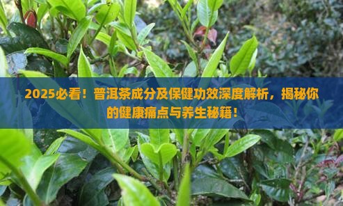 普洱茶的成分及保健功效是什么