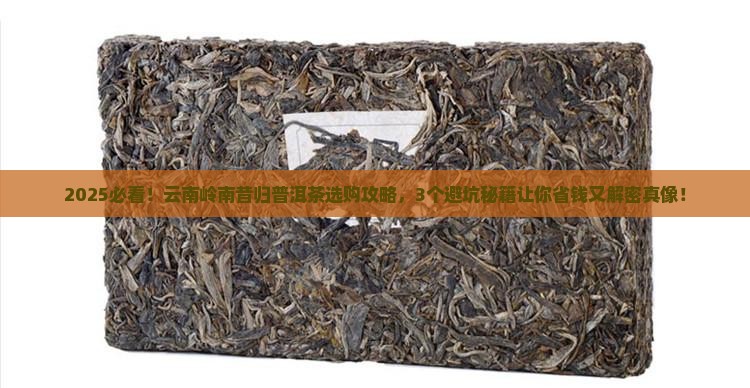 云南岭南昔归普洱茶