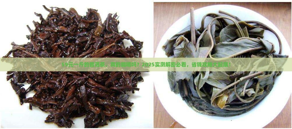 59元一斤的普洱茶能喝吗