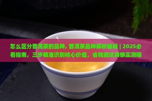 怎么区分普洱茶的品种