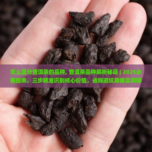 怎么区分普洱茶的品种