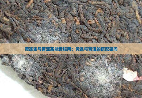 可以用普洱茶和黄连素吗
