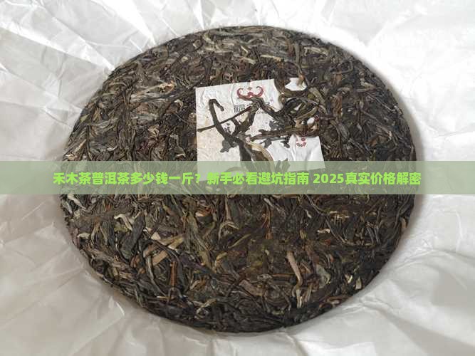 禾木茶普洱茶多少钱一斤