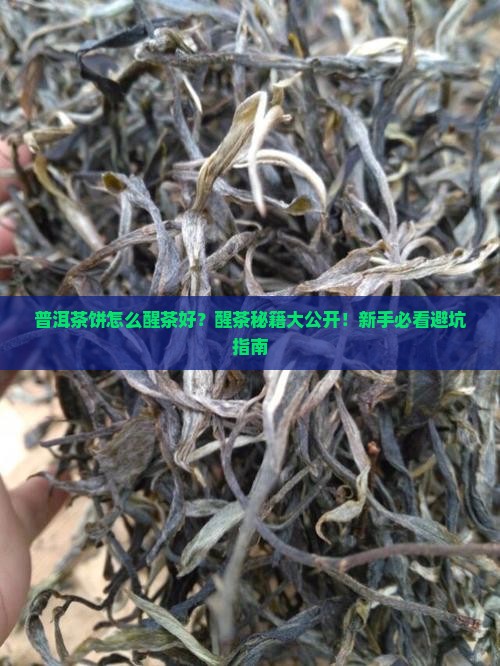 普洱茶饼怎么醒茶好