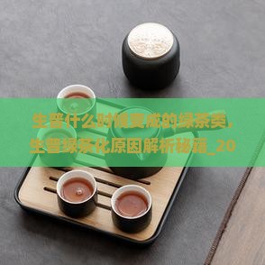 生普什么时候变成的绿茶类