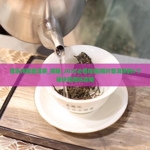 曾志伟喝普洱茶