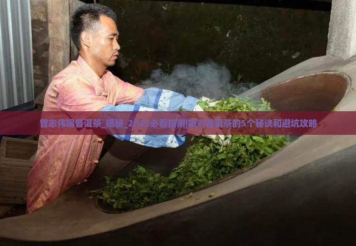 曾志伟喝普洱茶