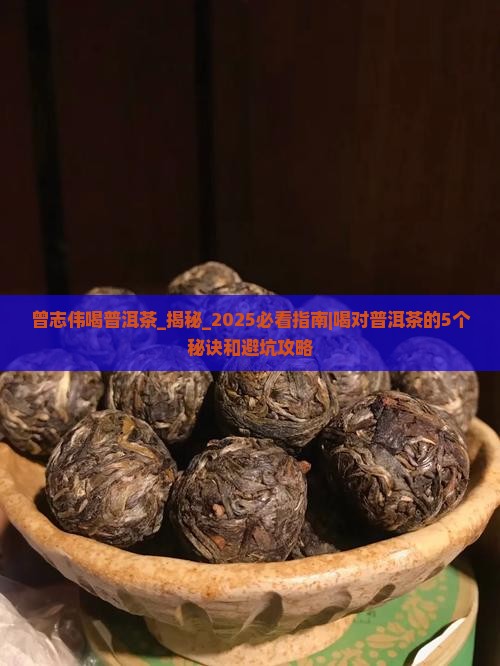 曾志伟喝普洱茶