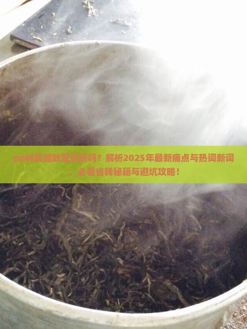 pp材质能放普洱茶吗