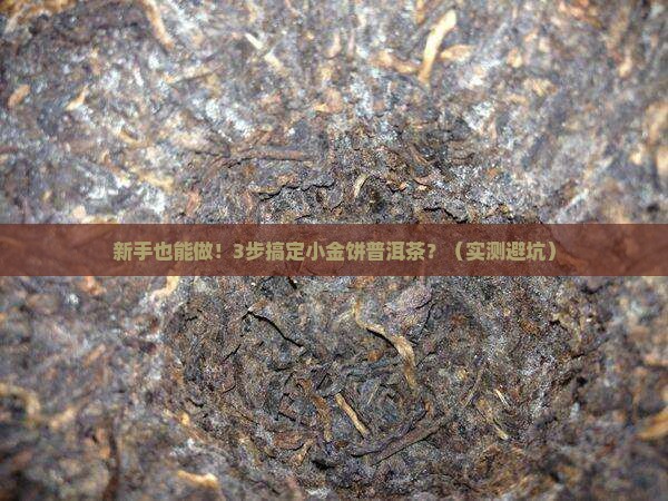 小金饼普洱茶做法