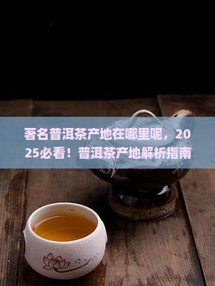著名普洱茶产地在哪里呢