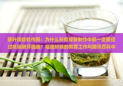 茶叶揉捻机作用