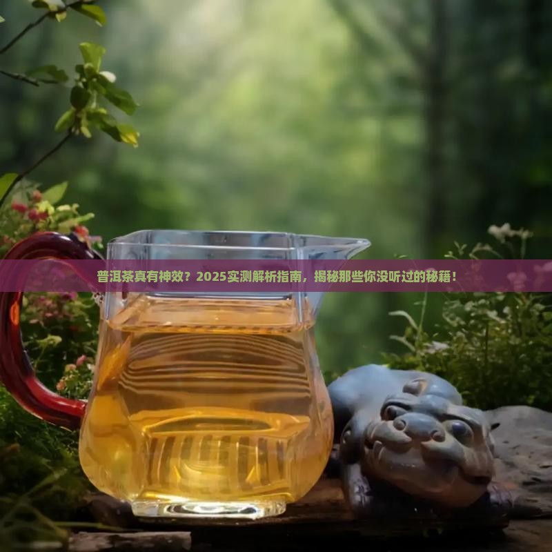普洱茶的功效有被证实么