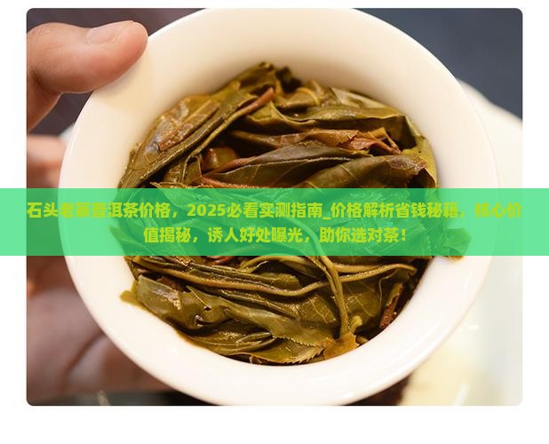 石头老寨普洱茶价格