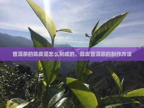 普洱茶的陈皮是怎么制成的
