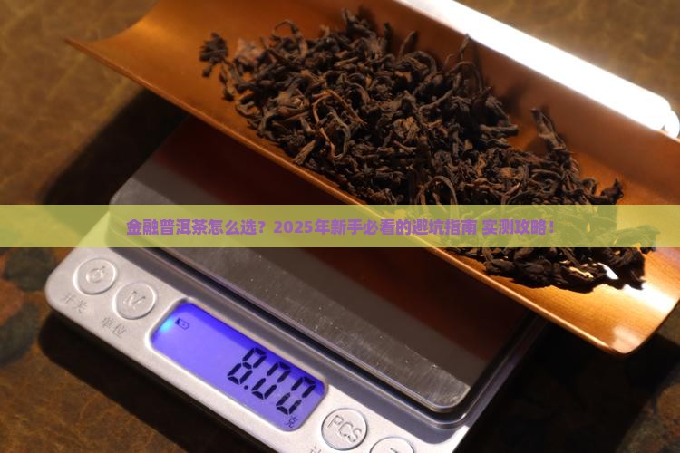 金融普洱茶怎么选