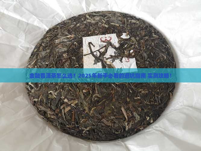 金融普洱茶怎么选