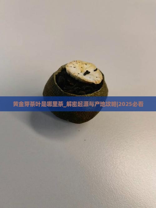 黄金芽茶叶是哪里茶