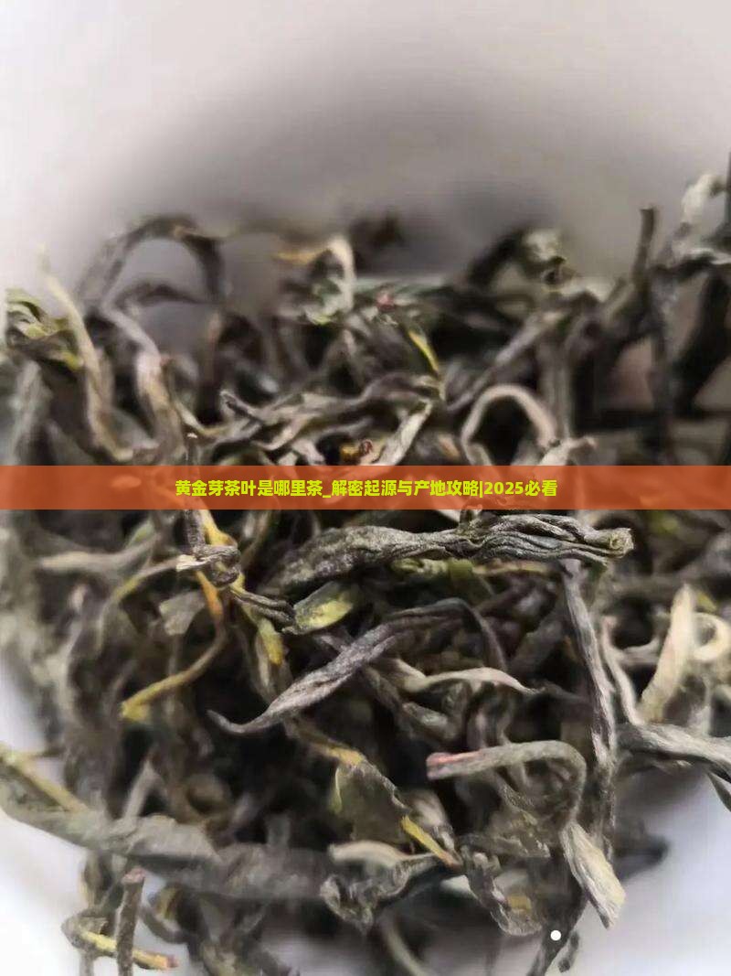 黄金芽茶叶是哪里茶