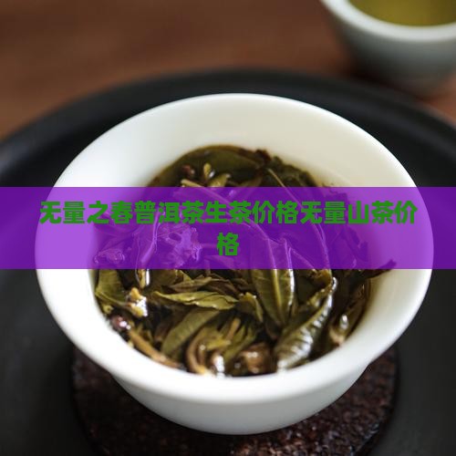 无量之春普洱茶生茶价格