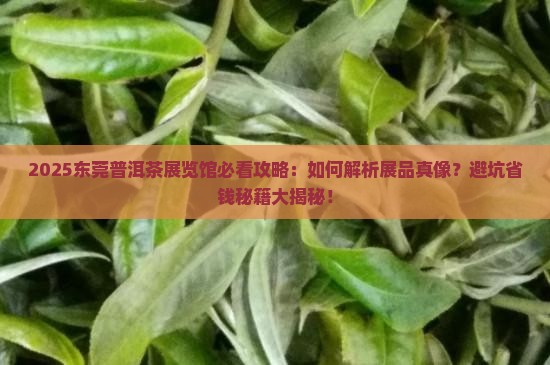 东莞普洱茶展览馆