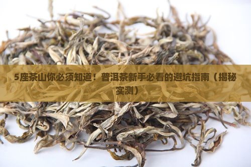 普洱茶的主要茶山有哪几座