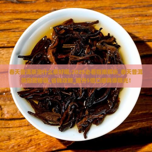 春天普洱茶泡什么茶好喝