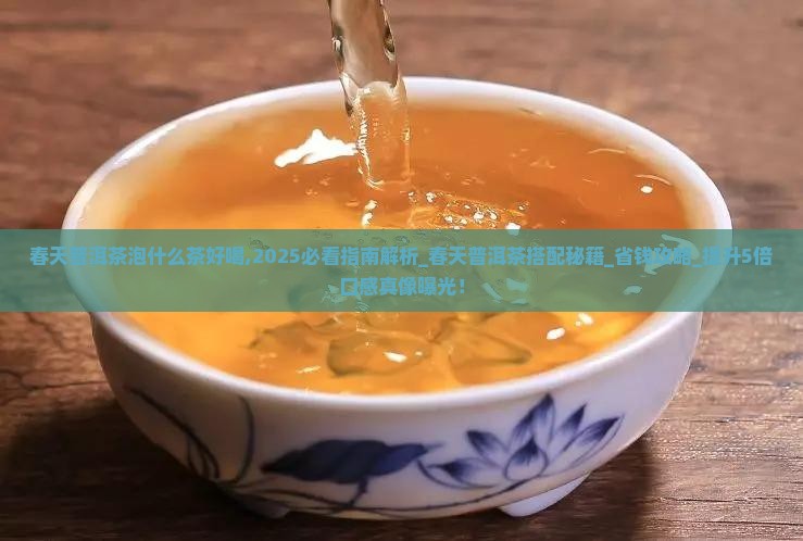春天普洱茶泡什么茶好喝