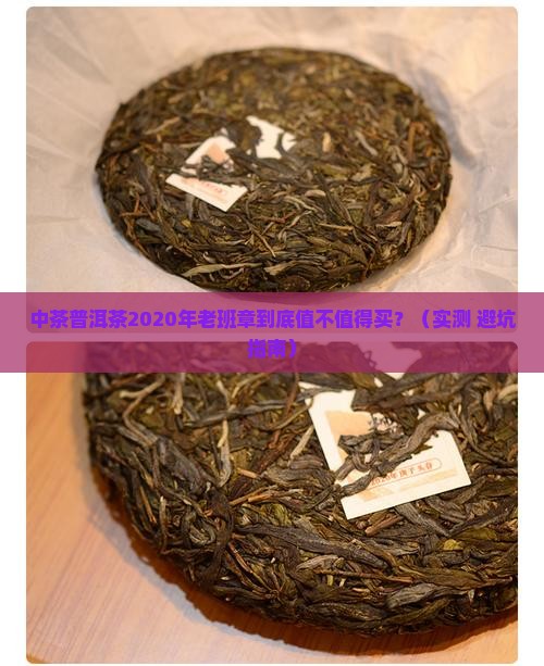 中茶普洱茶2020年老班章