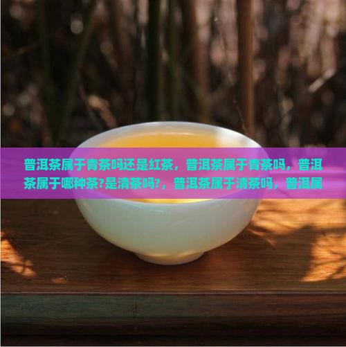 普洱茶属于青茶吗