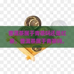 普洱茶属于青茶吗