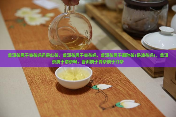 普洱茶属于青茶吗