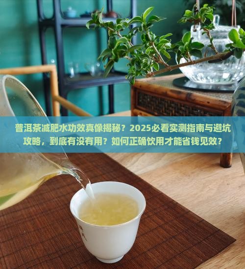 普洱茶减肥水功效好吗