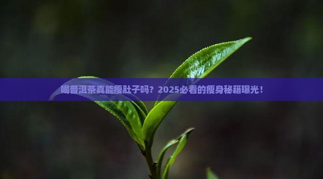 喝普洱茶能瘦肚子吗