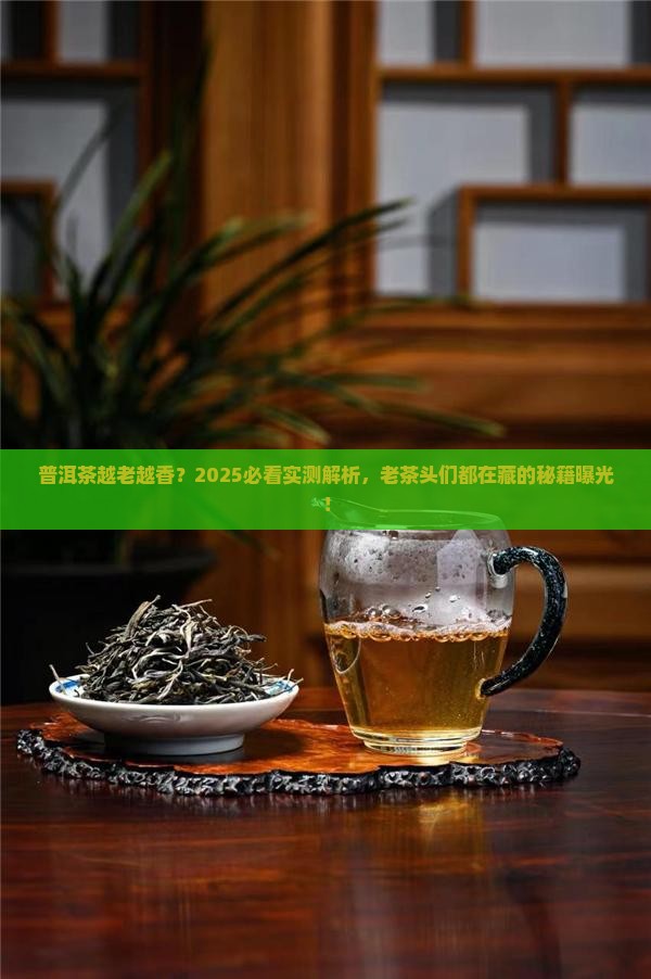 普洱茶是不是越老越好