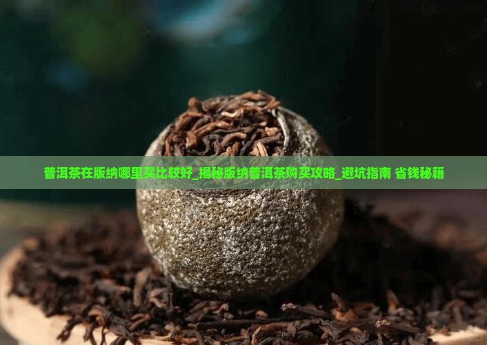 普洱茶在版纳哪里买比较好