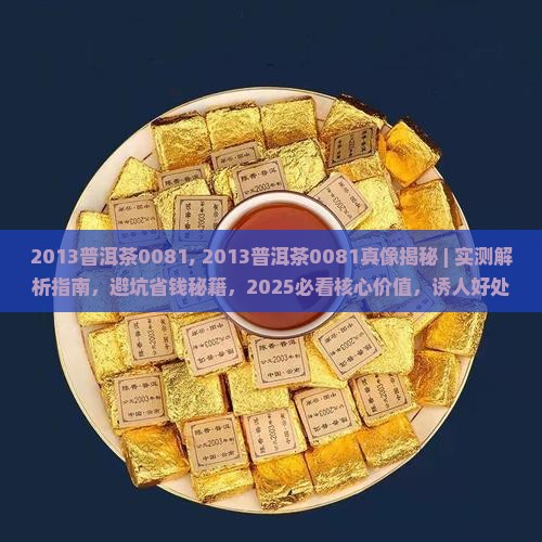 2013普洱茶0081