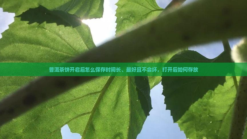 普洱茶饼开启后怎么保存